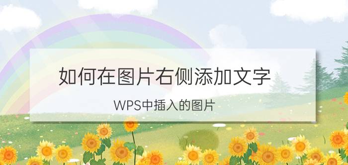 如何在图片右侧添加文字 WPS中插入的图片,怎样浮于方字上方？